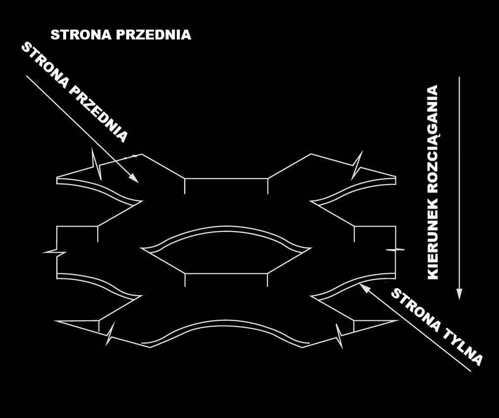 Strona licowa